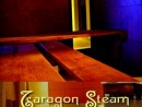 Тарагон Стийм/ Taragon Steam