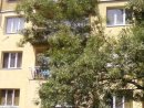 Продава Тристаен Апартамент  София - Толстой  44000 EUR
