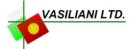 Василиани ЕООД! - Аутсорсингова компания за счетоводни и бизнес услуги